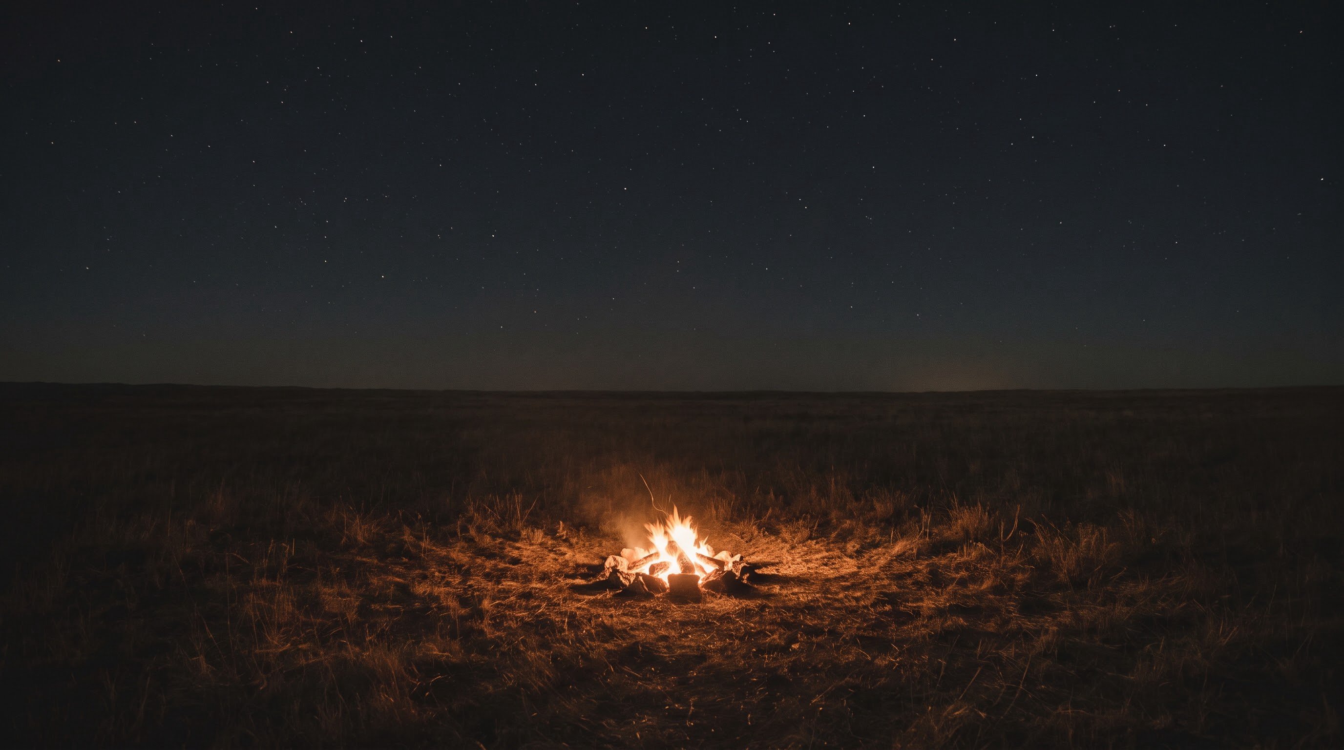A single warm fire burning in a dark field under a night sky full of stars.